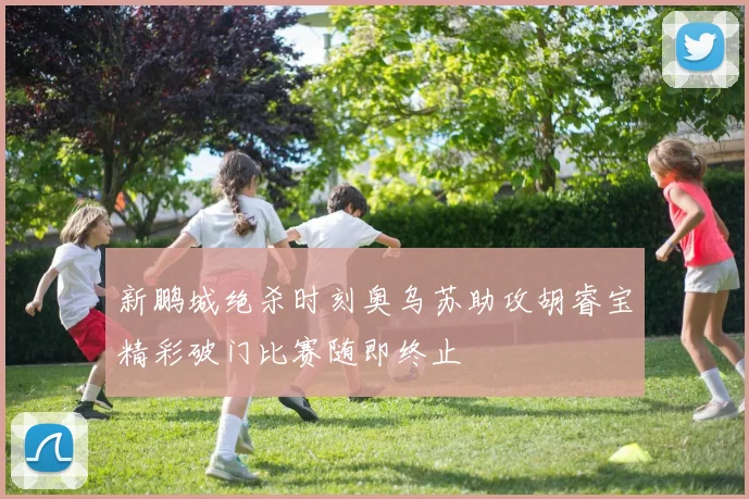 新鹏城绝杀时刻奥乌苏助攻胡睿宝精彩破门比赛随即终止