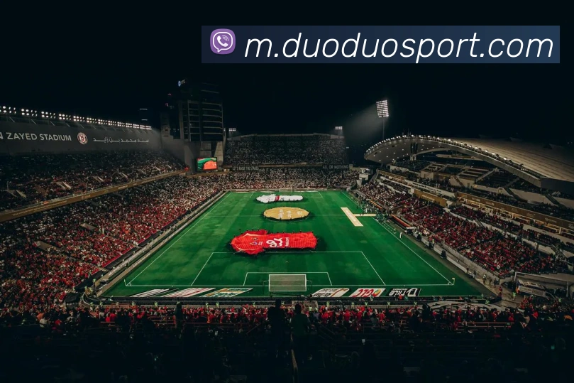 多多28品牌故事