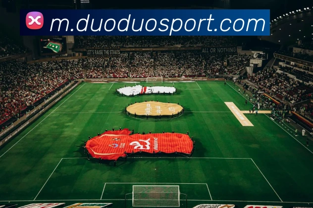 多多28服务体系