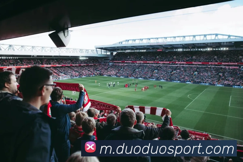 多媒体互动体验